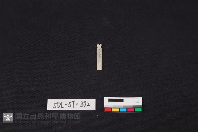 玉飾藏品圖，第2張