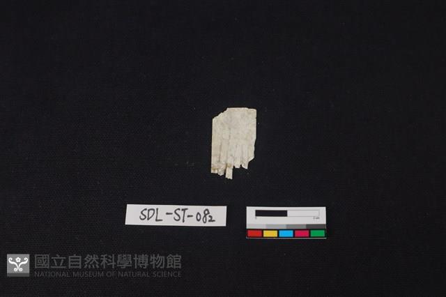 玉飾藏品圖，第2張