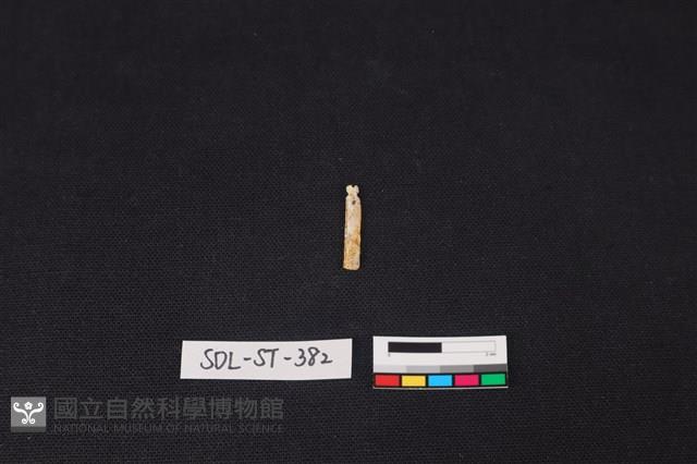 玉飾藏品圖，第2張