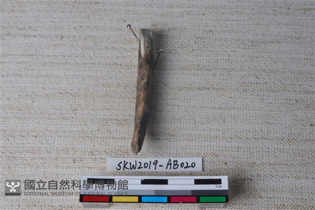 獸骨藏品圖，第2張