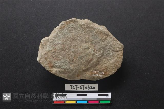 石片器藏品圖，第2張