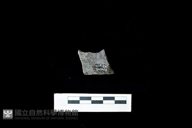 陶片藏品圖，第2張