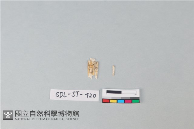 玉飾藏品圖，第2張