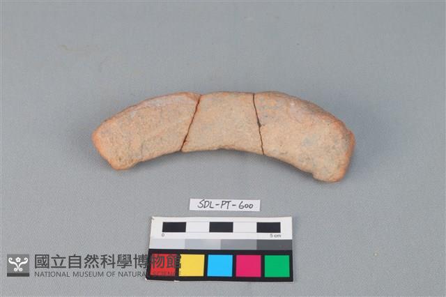 陶網墜藏品圖，第2張