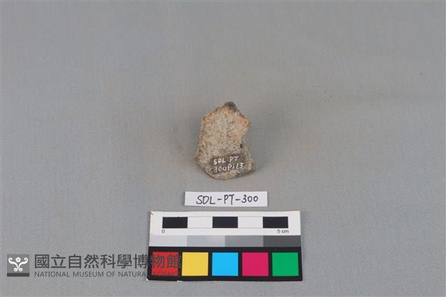 陶片藏品圖，第2張