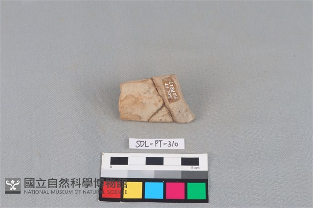陶片藏品圖，第2張
