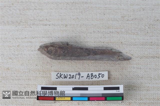 獸骨藏品圖，第2張