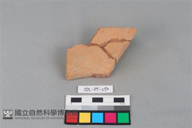 Accession Number:SDL-PT-250 Collection Image, Figure 2, Total 2 Figures