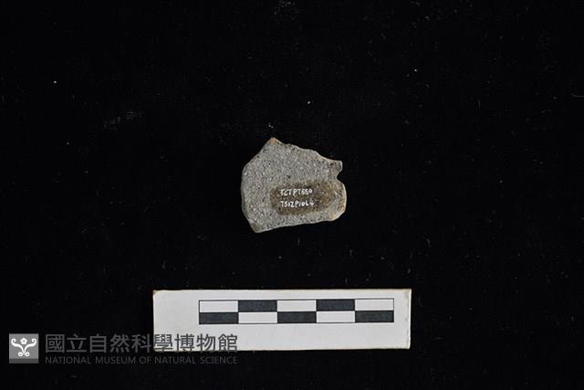 陶片藏品圖，第2張