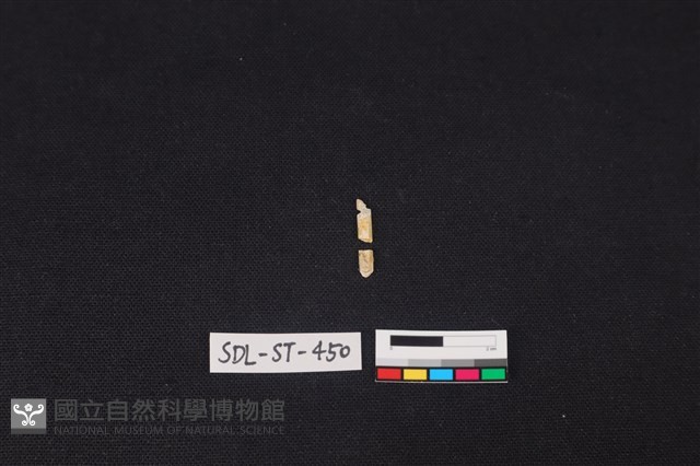玉飾藏品圖，第2張