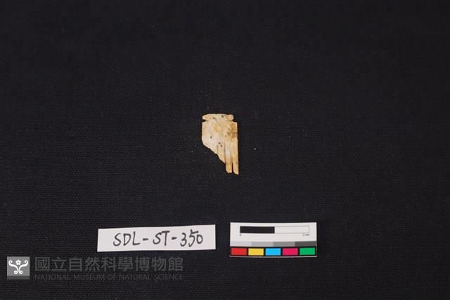 玉飾藏品圖，第2張