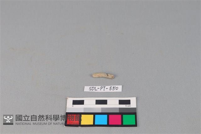 陶環藏品圖，第2張