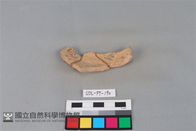 陶片藏品圖，第2張