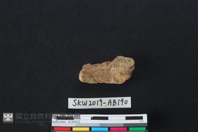 獸骨藏品圖，第2張