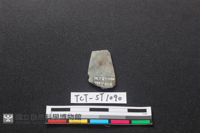 Accession Number:TCT-ST1090 Collection Image, Figure 2, Total 2 Figures