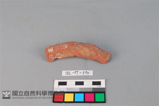 陶網墜藏品圖，第2張