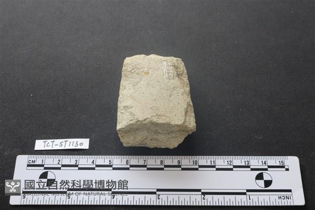 磨製斧鋤形器藏品圖，第2張
