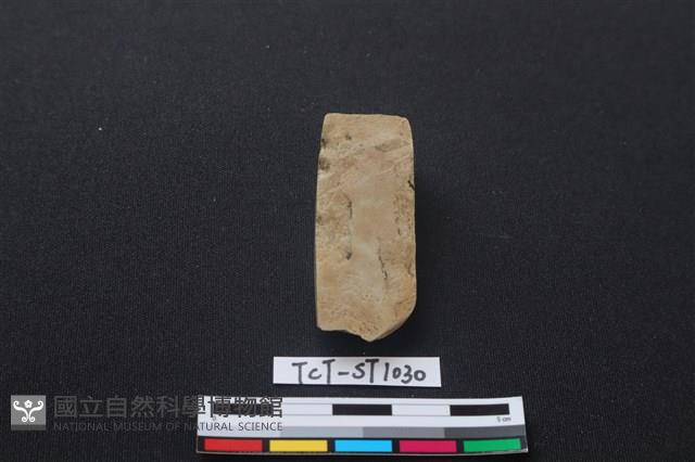 錛鑿形器藏品圖，第2張