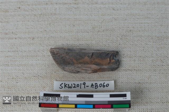 獸骨藏品圖，第2張