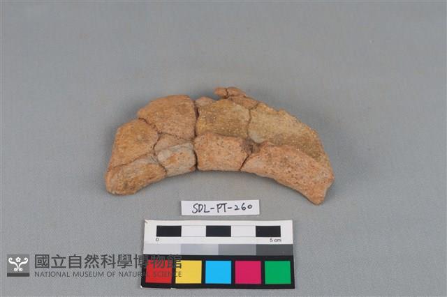 陶罐藏品圖，第2張