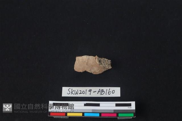 獸骨藏品圖，第2張