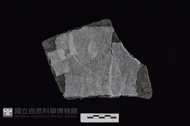 陶片藏品圖，第2張