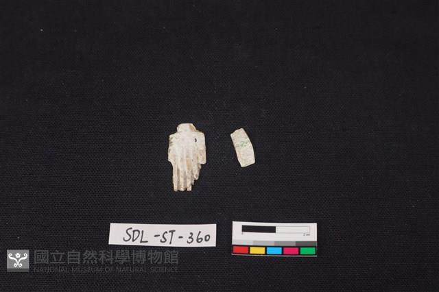 玉飾藏品圖，第2張