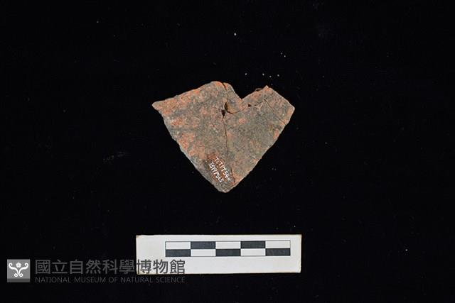 陶片藏品圖，第2張