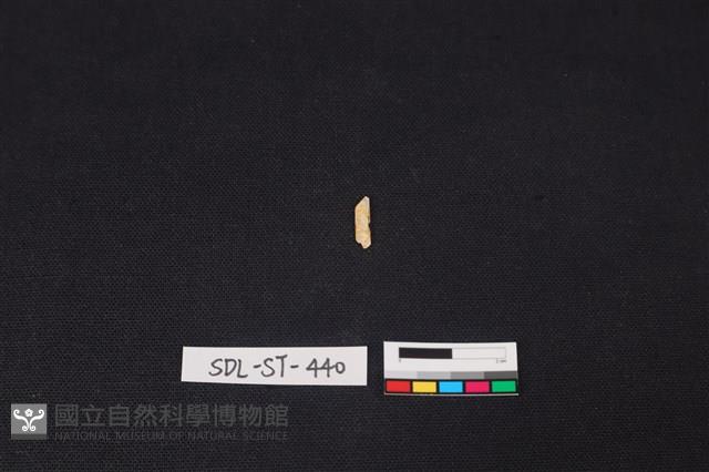 玉飾藏品圖，第2張