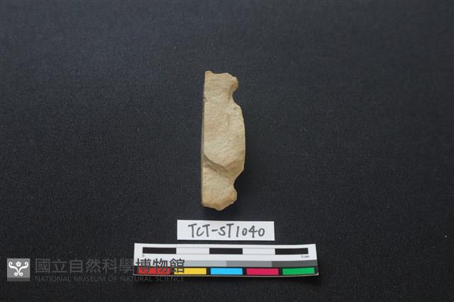 錛鑿形器藏品圖，第2張