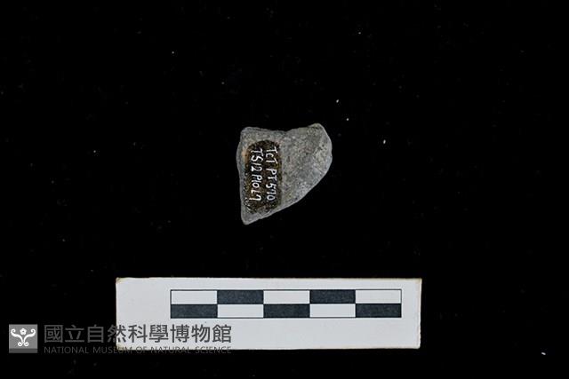 陶片藏品圖，第2張