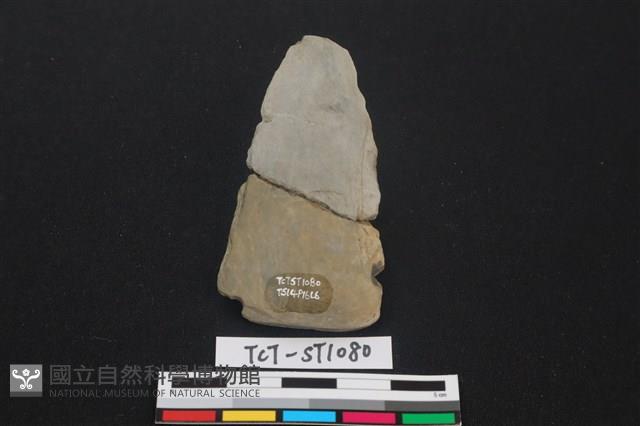 矛鏃形器藏品圖，第2張