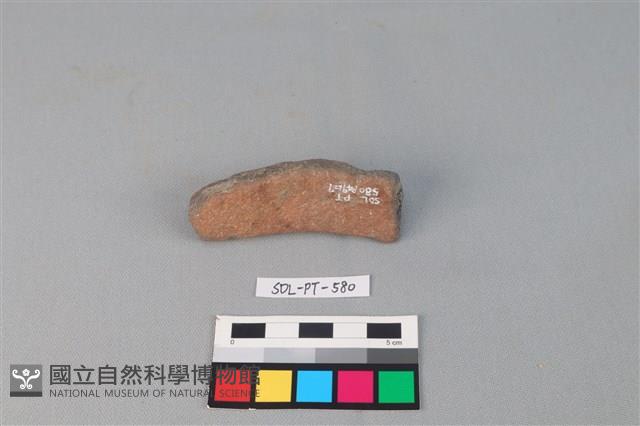 Accession Number:SDL-PT-580 Collection Image, Figure 2, Total 3 Figures