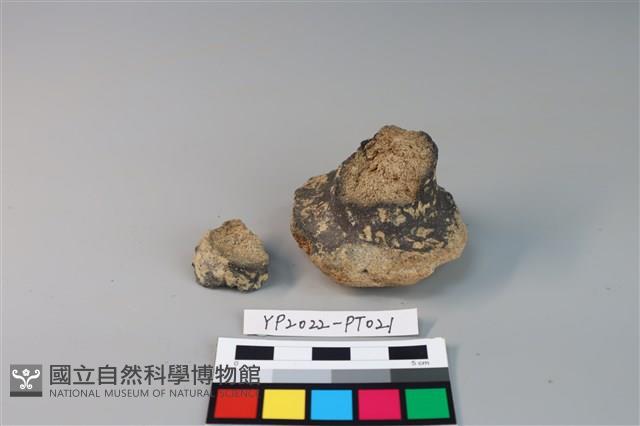 碗/淺盤型陶蓋藏品圖，第2張
