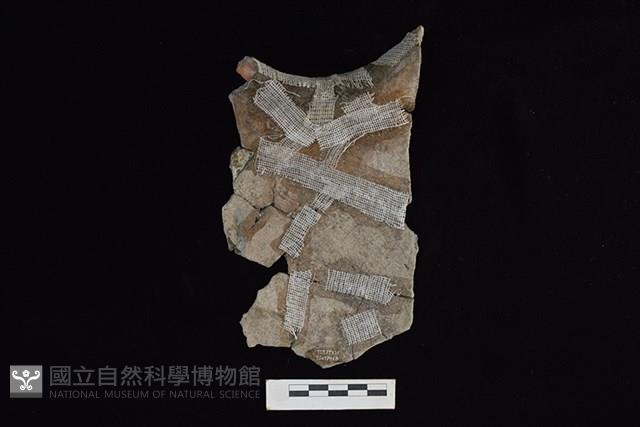 陶罐藏品圖，第2張