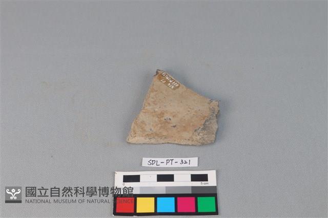 陶片藏品圖，第2張