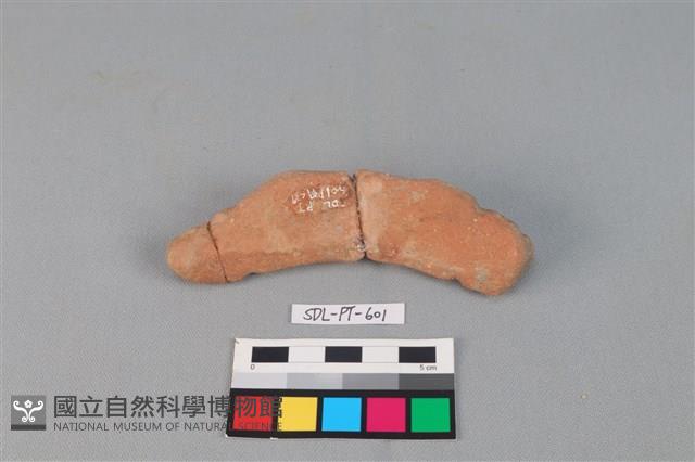 陶網墜藏品圖，第2張