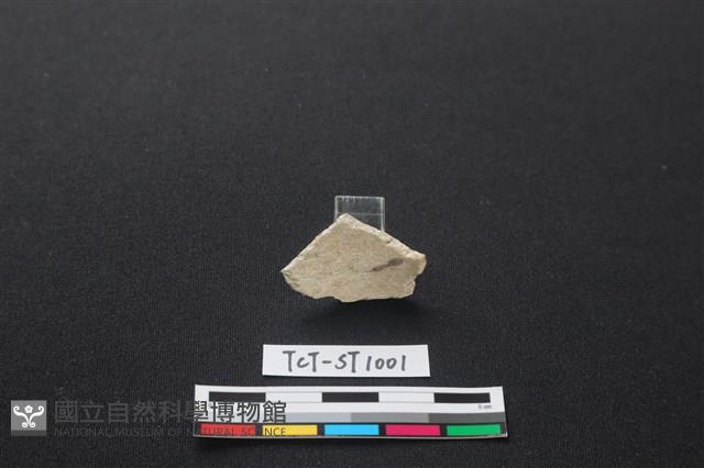玉環藏品圖，第2張