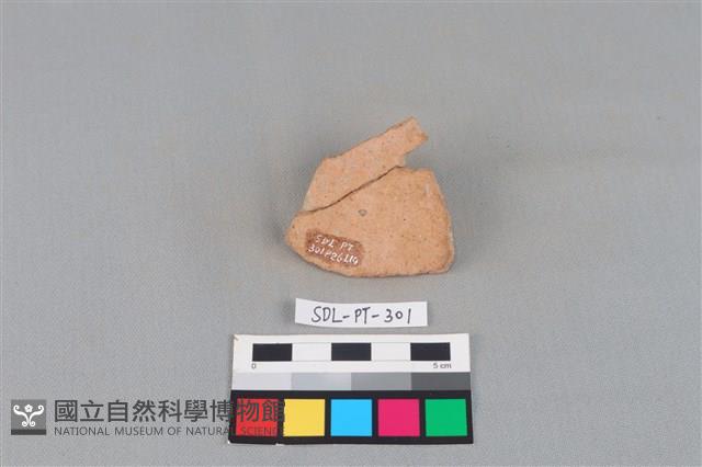 陶片藏品圖，第2張