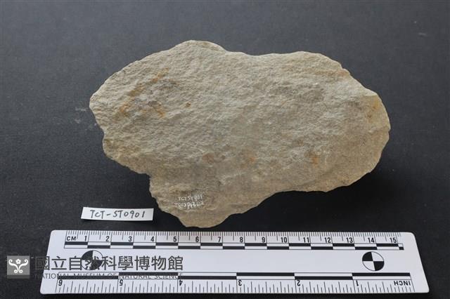 斧鋤形器藏品圖，第2張