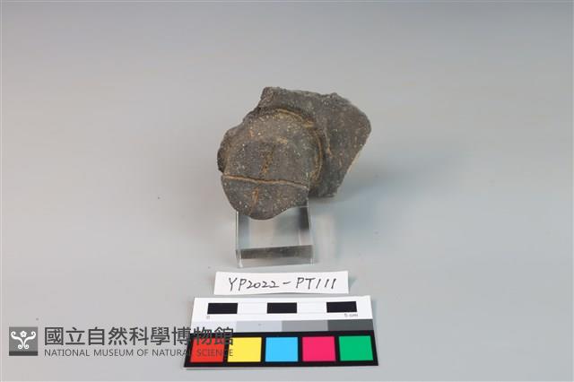 碗/淺盤型陶蓋藏品圖，第2張