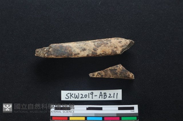 獸骨藏品圖，第2張