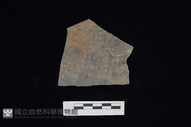 陶片藏品圖，第2張