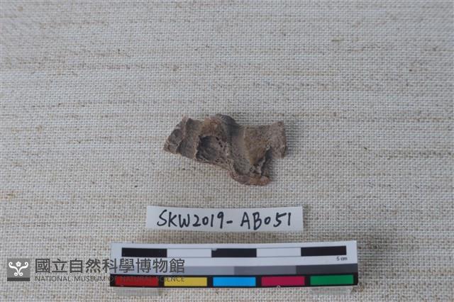 獸骨藏品圖，第2張