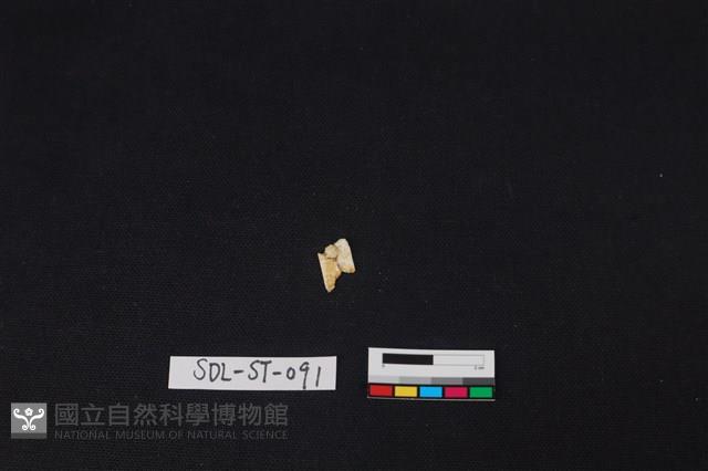 玉飾藏品圖，第2張