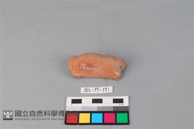 陶網墜藏品圖，第2張
