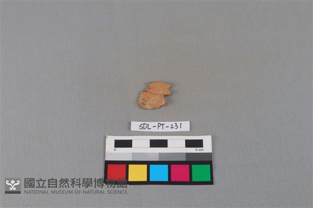 陶片藏品圖，第2張