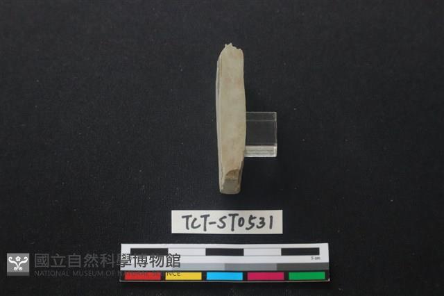 錛鑿形器藏品圖，第2張