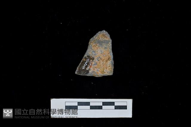 陶片藏品圖，第2張