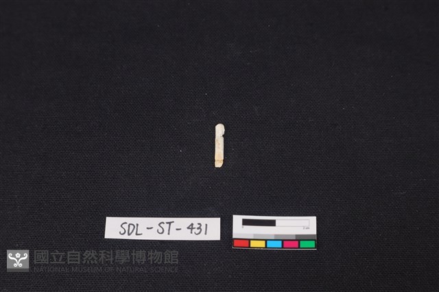 玉飾藏品圖，第2張
